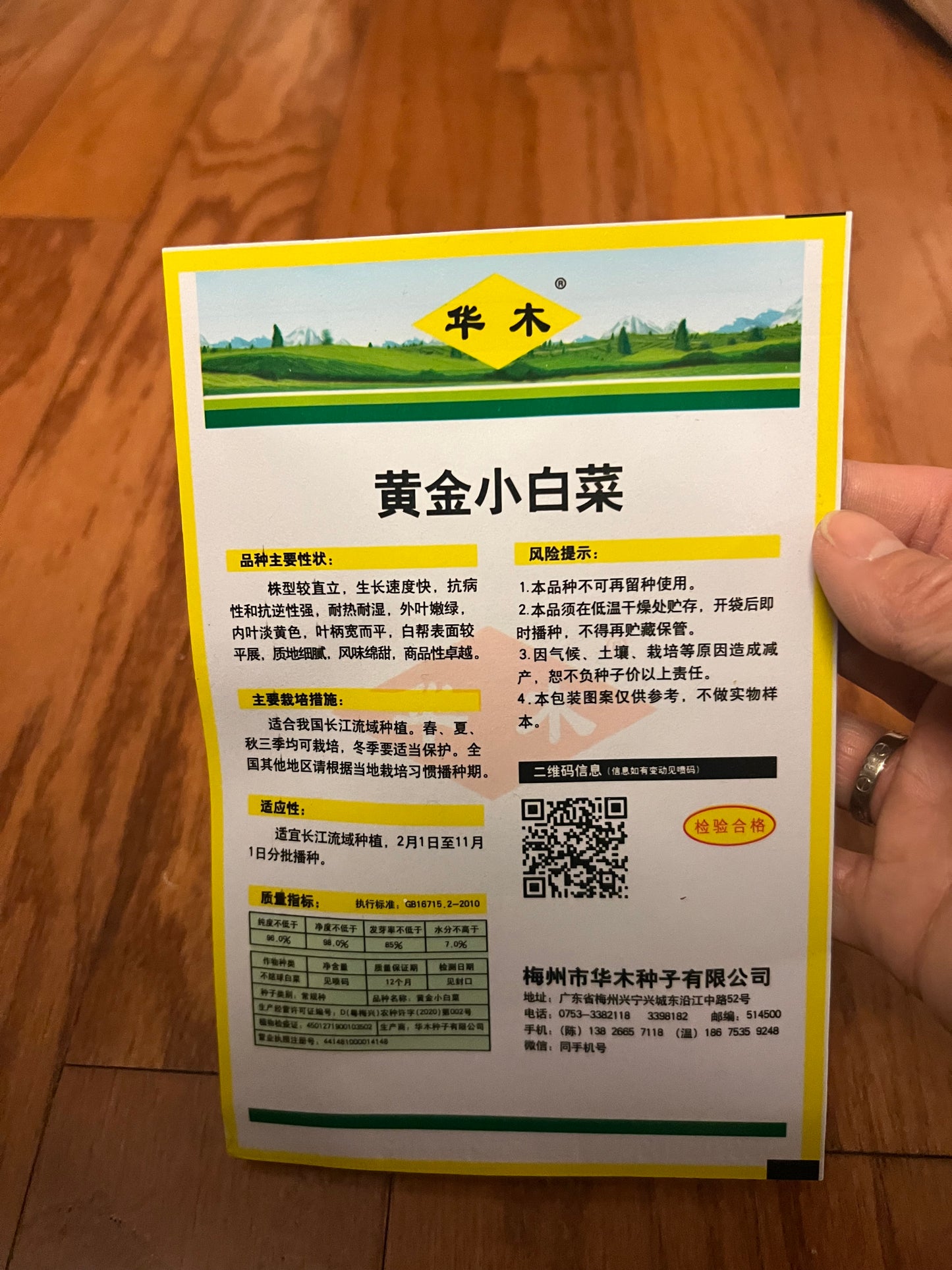 小白菜,白梗快菜,四季可以种