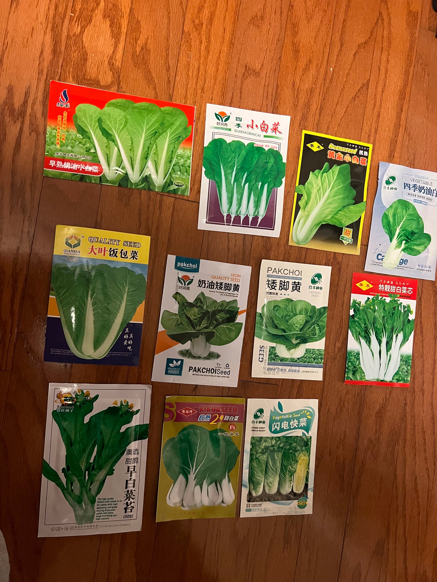 小白菜,白梗快菜,四季可以种
