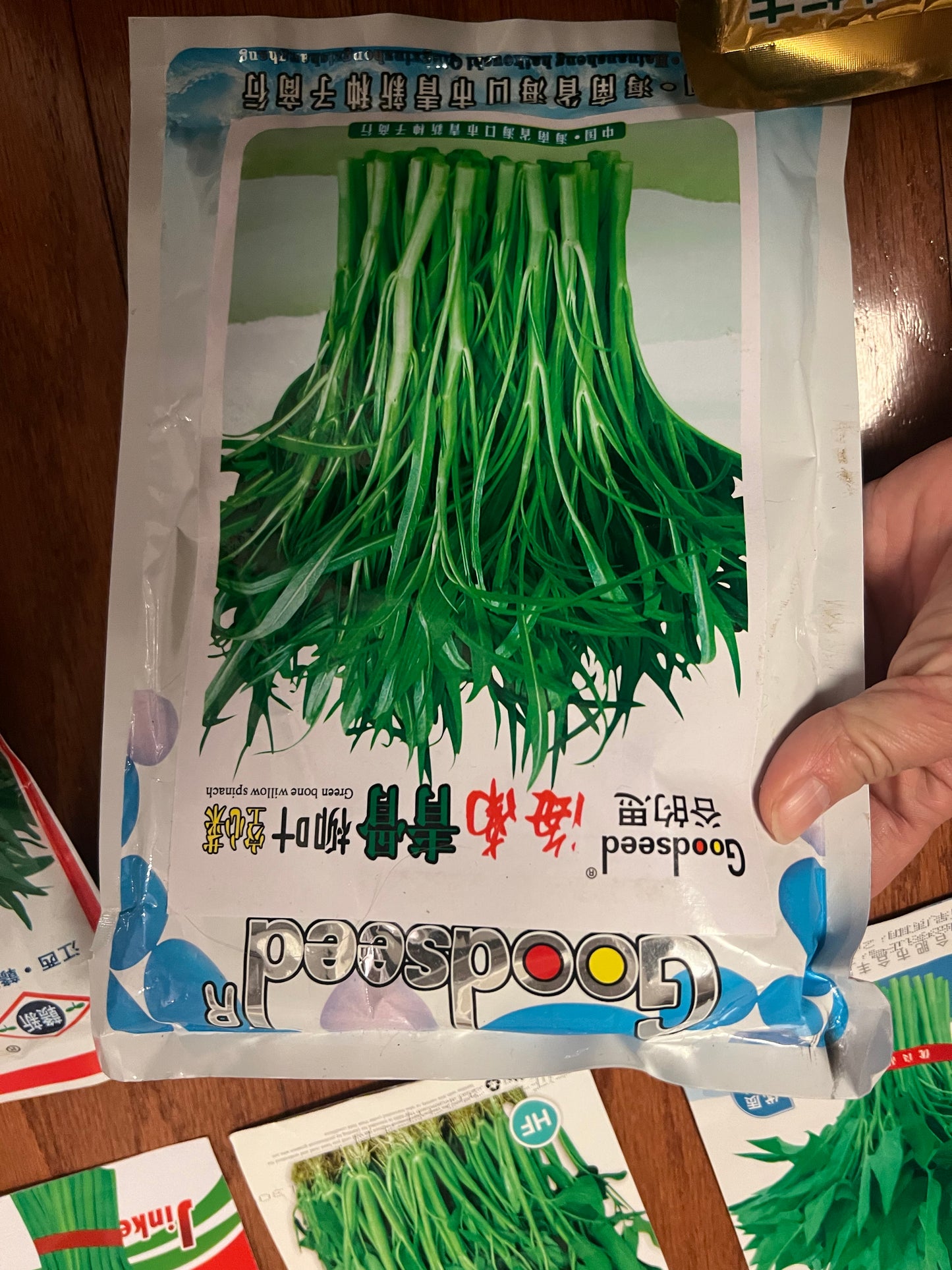 7款空心菜种子请点开,10克,春末夏初播种,40天后可以持续收割