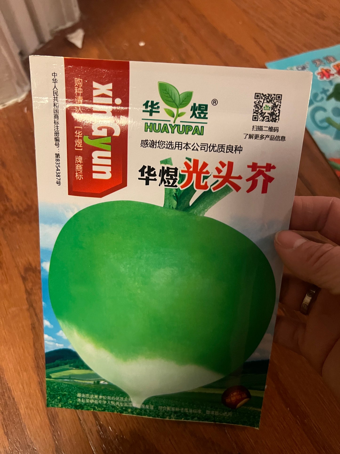 菜头,苤兰,光头芥