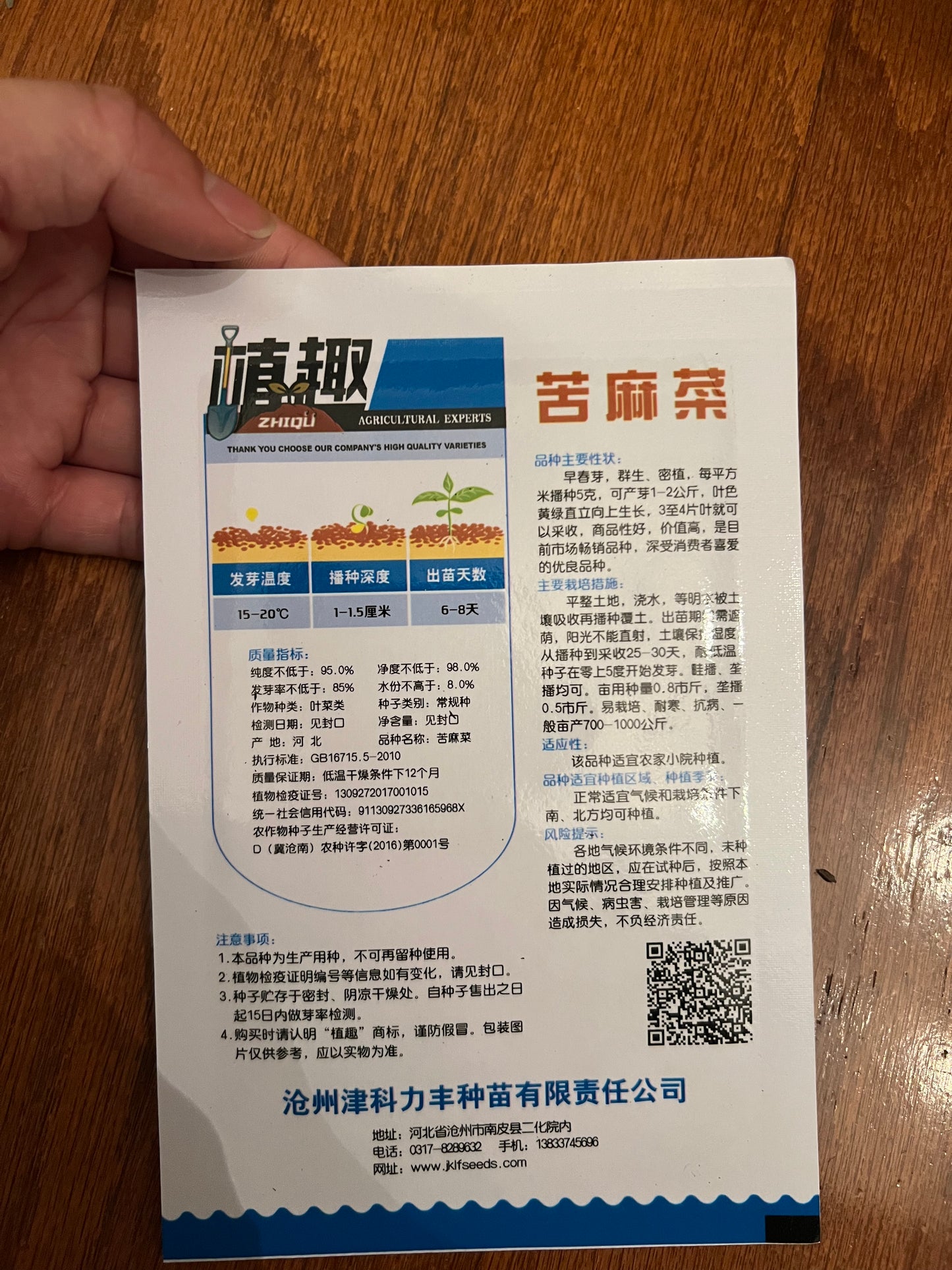 苦麻菜,3克,早春种植