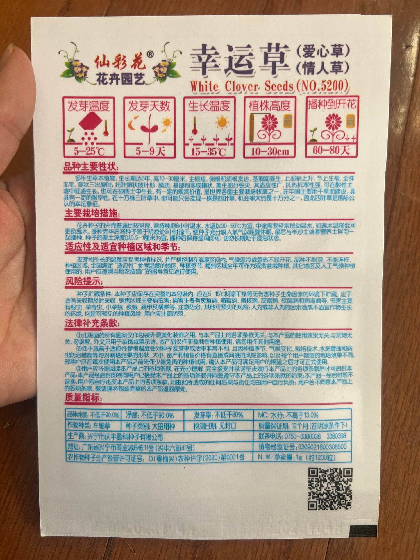 幸运草300粒,多年生草本