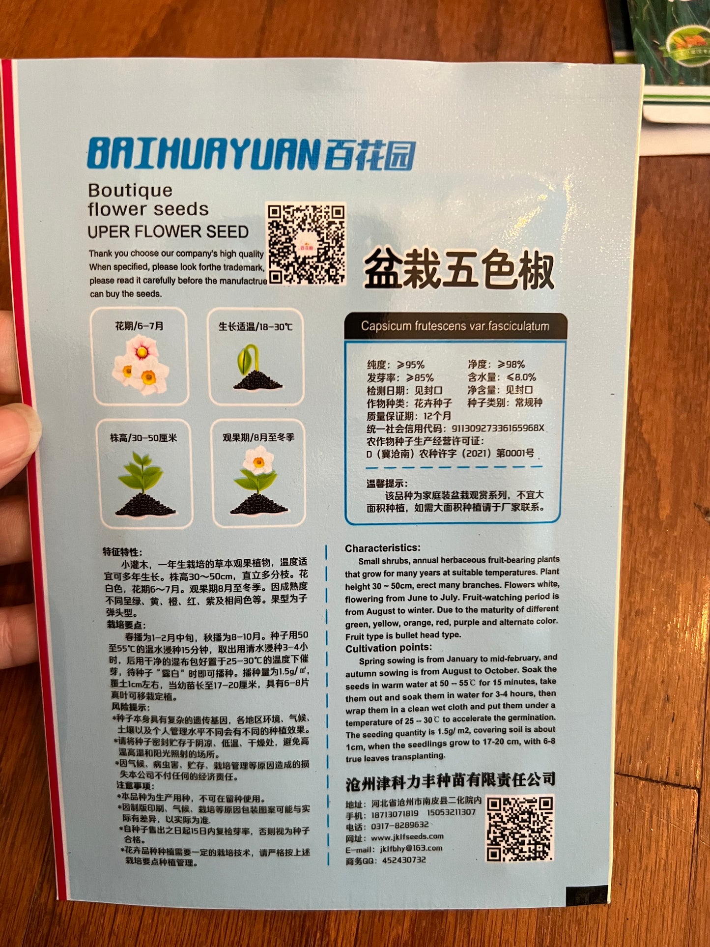 盆栽五色椒种子100粒,春季播种
