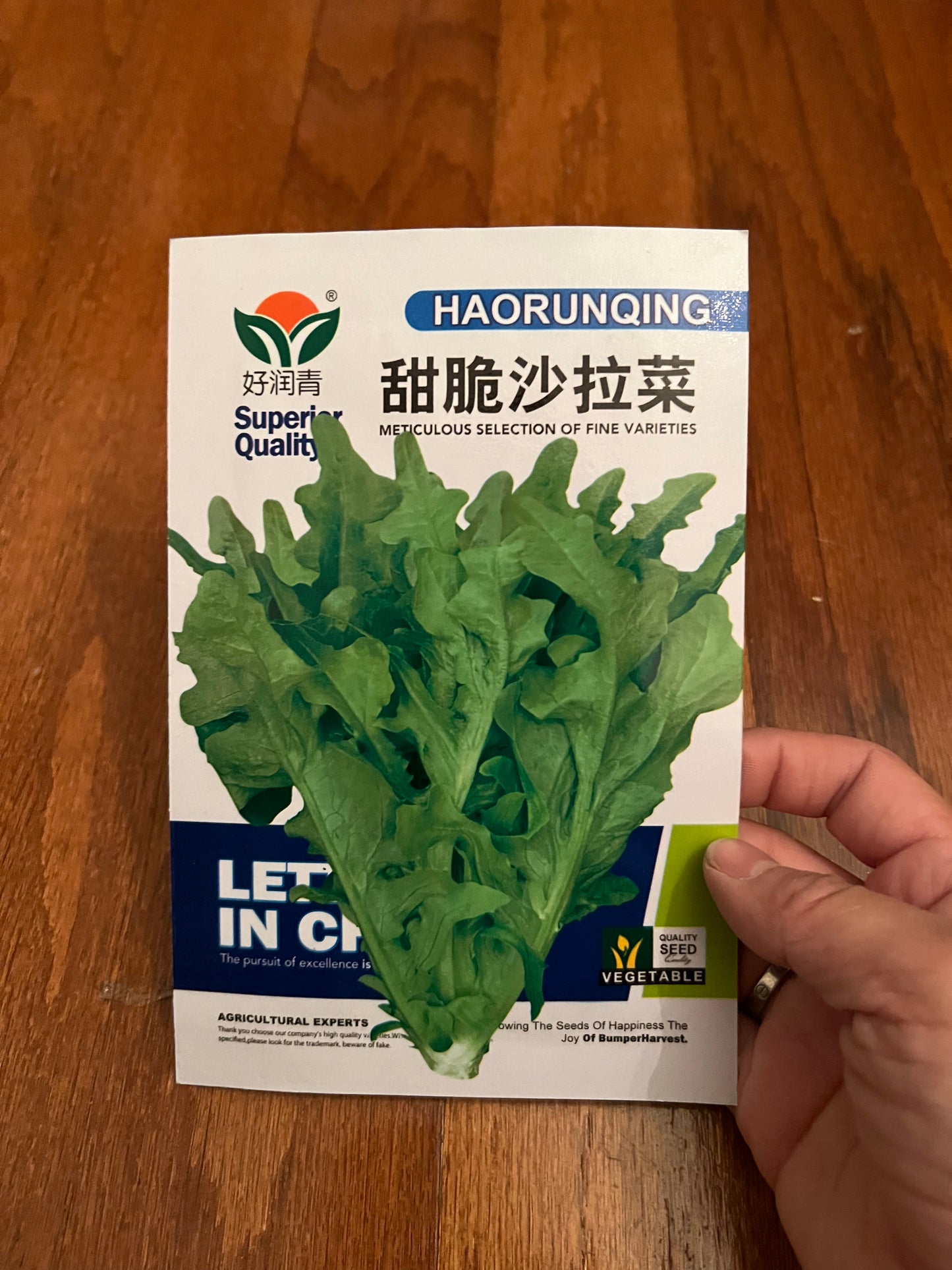 甜脆沙拉菜,四季可以种植