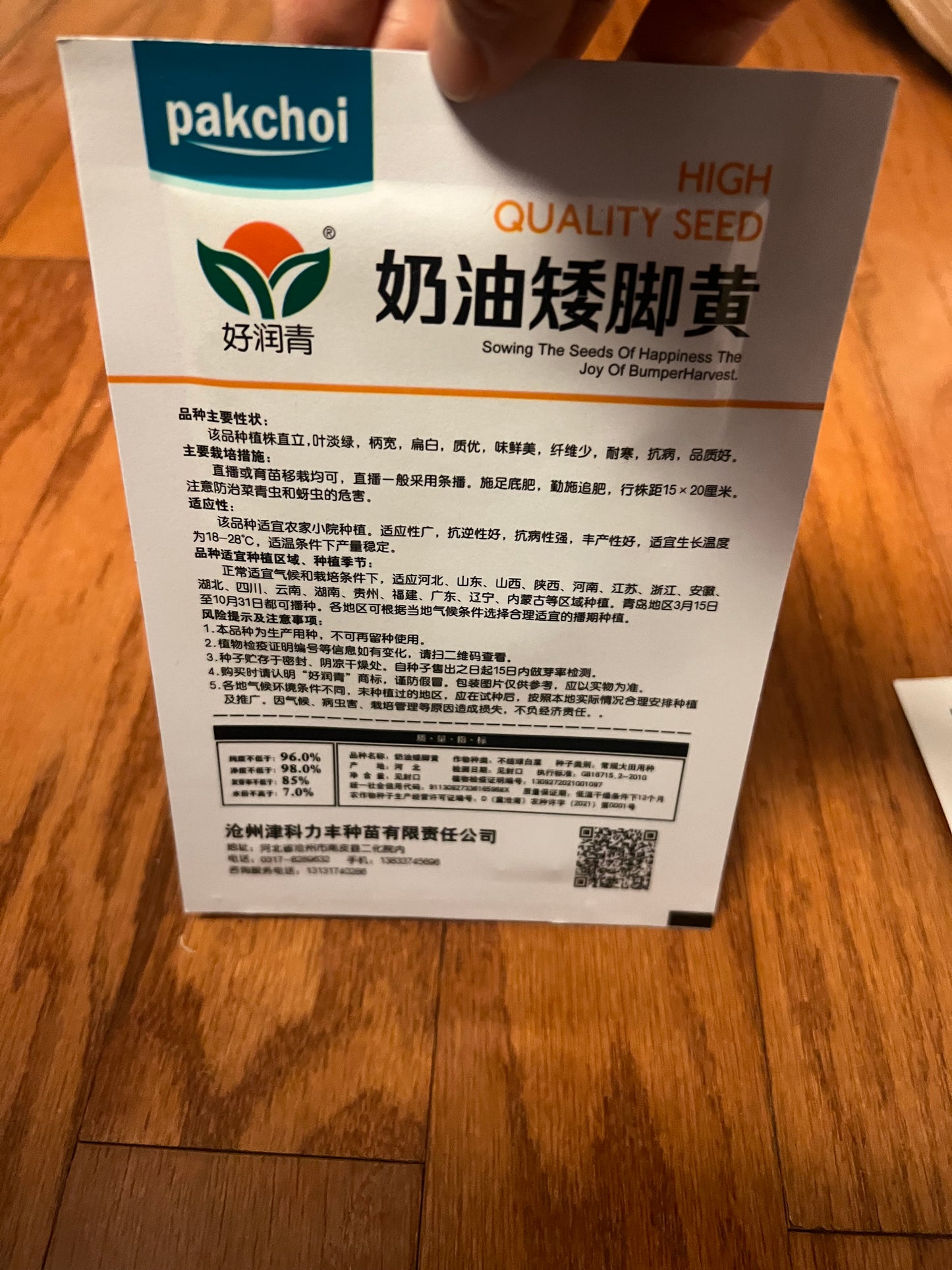 小白菜,白梗快菜,四季可以种