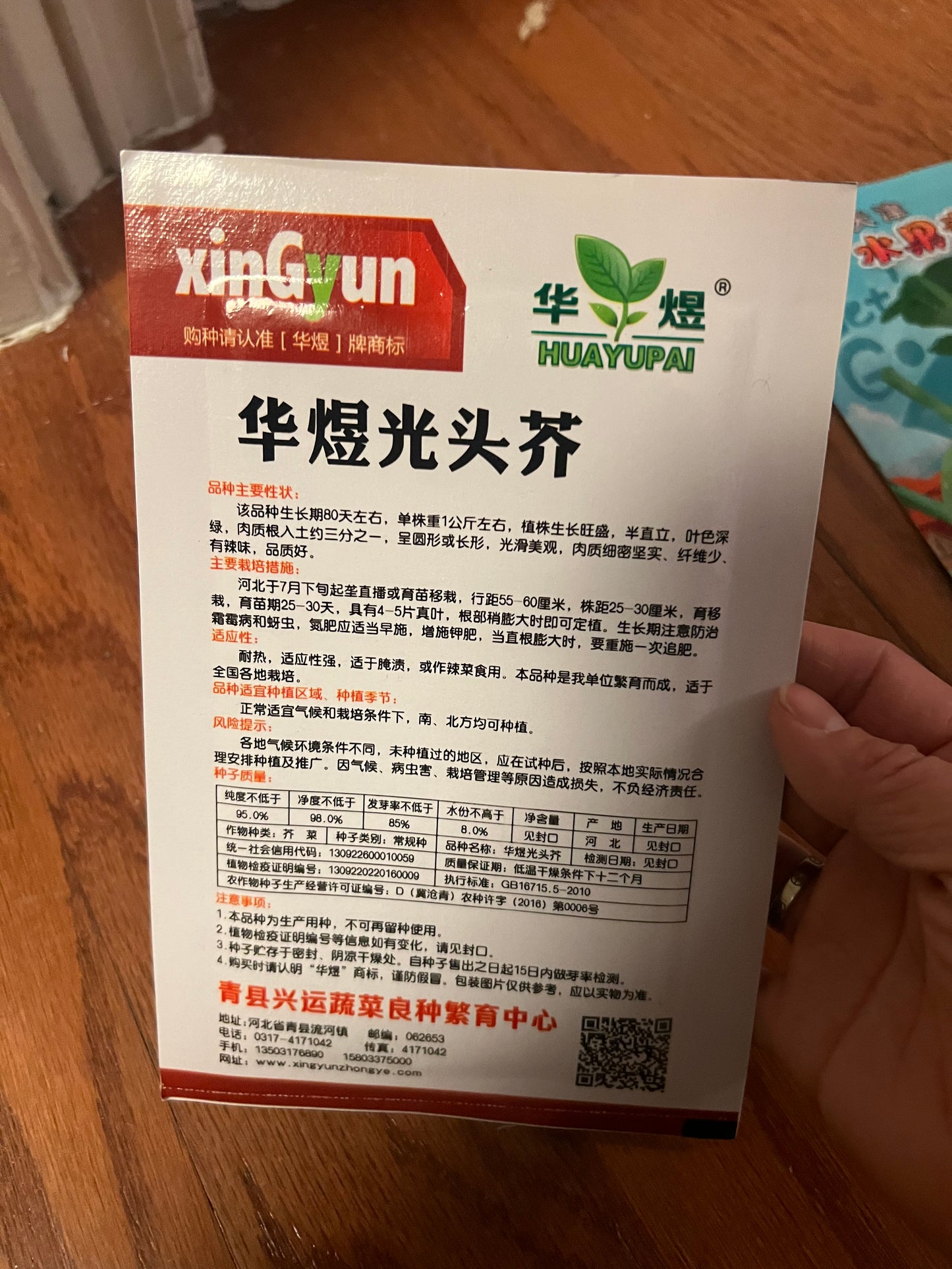 菜头,苤兰,光头芥