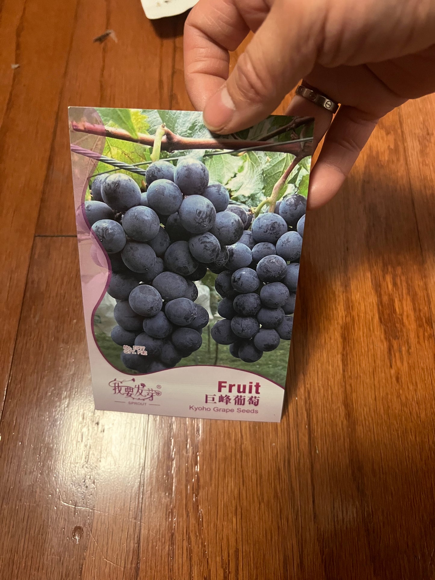 玉米,蚕豆,葡萄,草莓,花生,秋葵,毛节瓜,毛豆