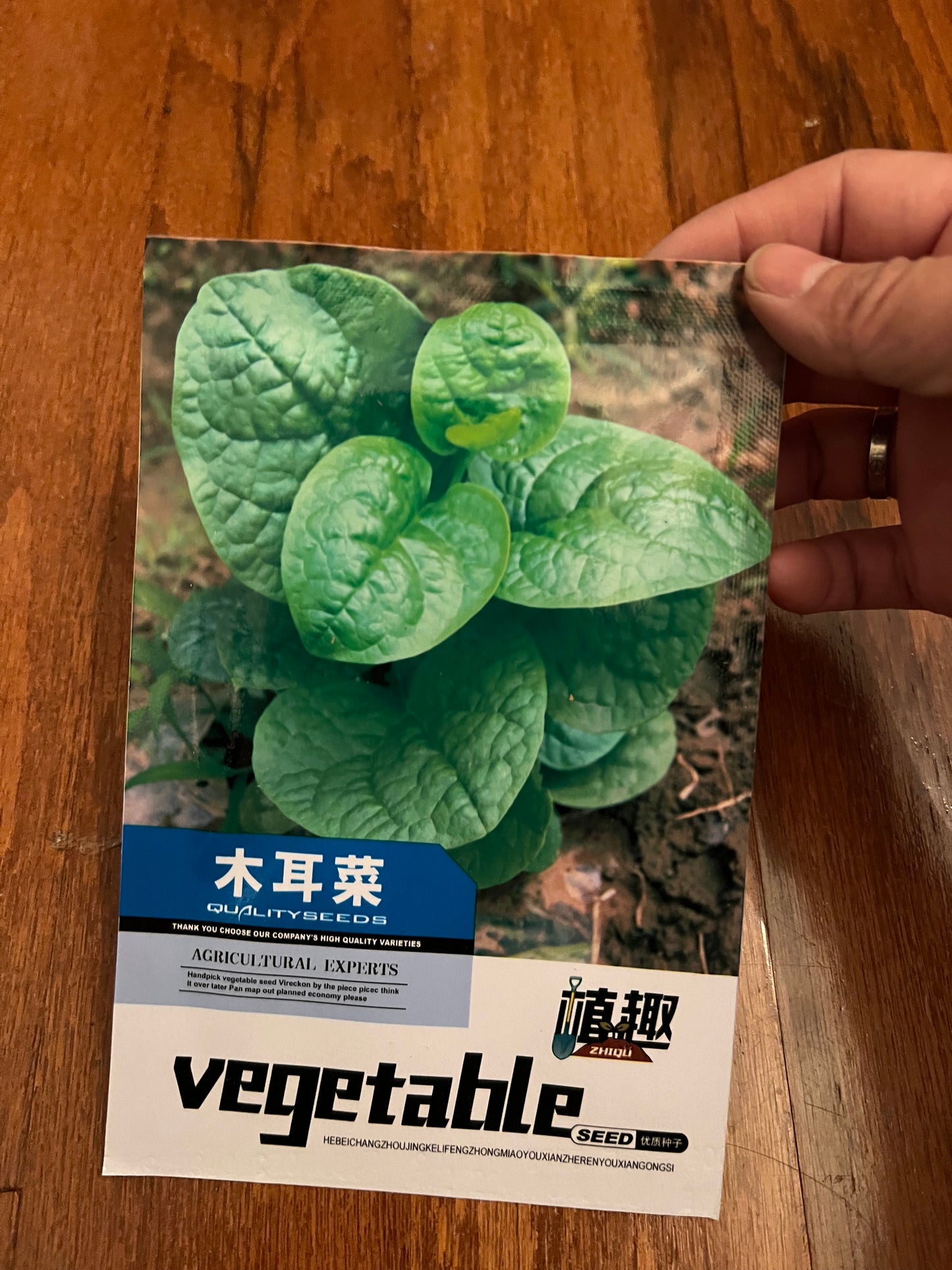 木耳菜5克,春夏秋可以种植