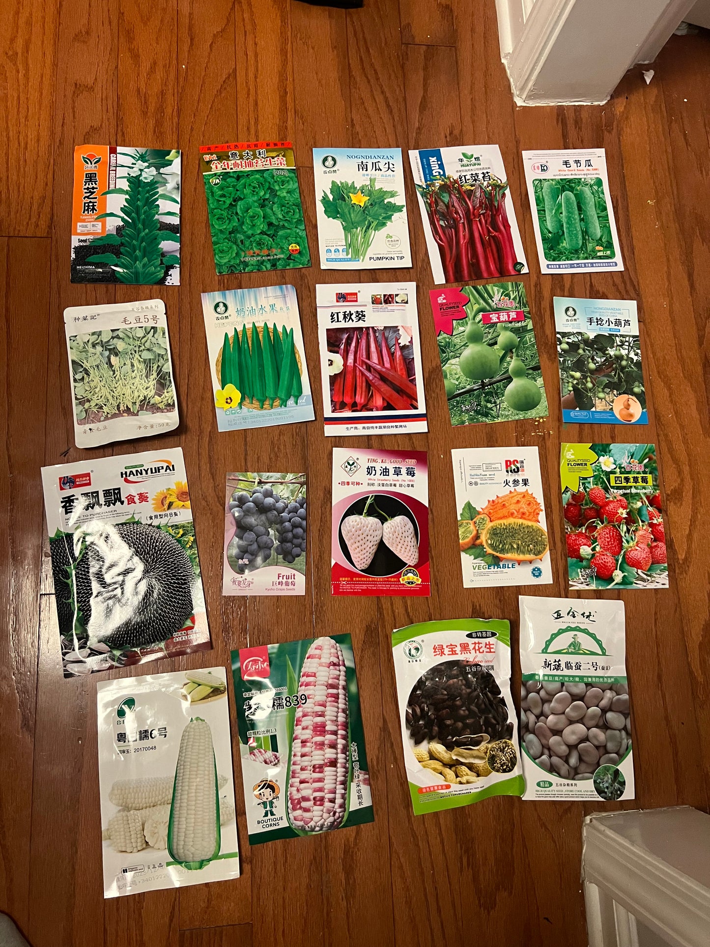 玉米,蚕豆,葡萄,草莓,花生,秋葵,毛节瓜,毛豆