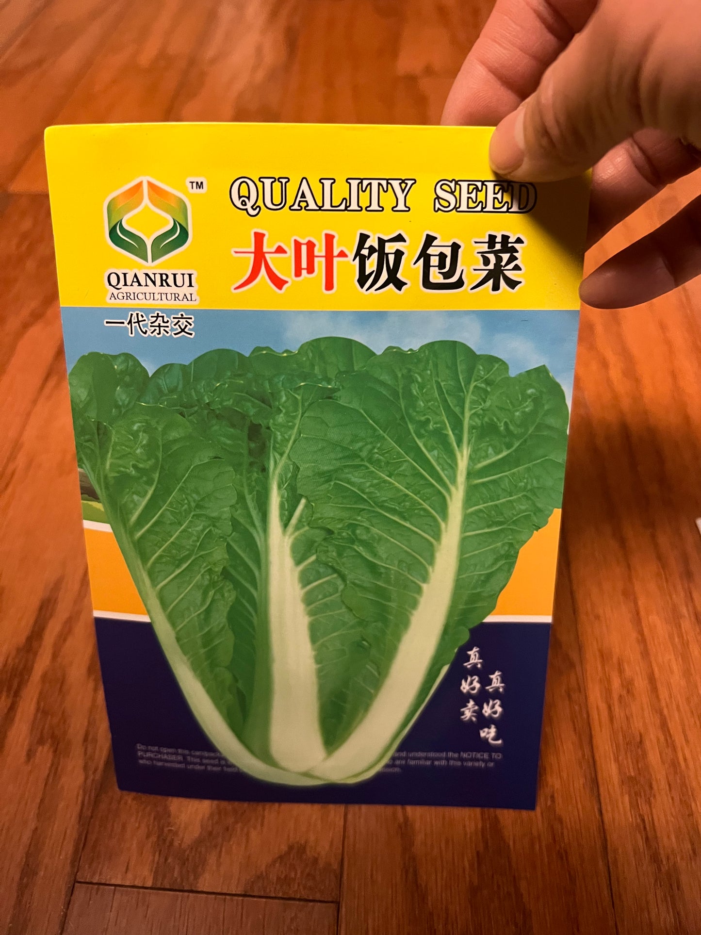 小白菜,白梗快菜,四季可以种