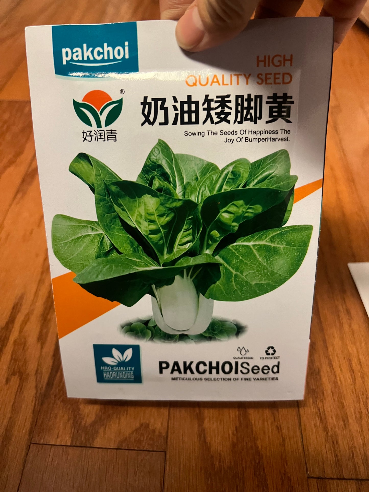 小白菜,白梗快菜,四季可以种