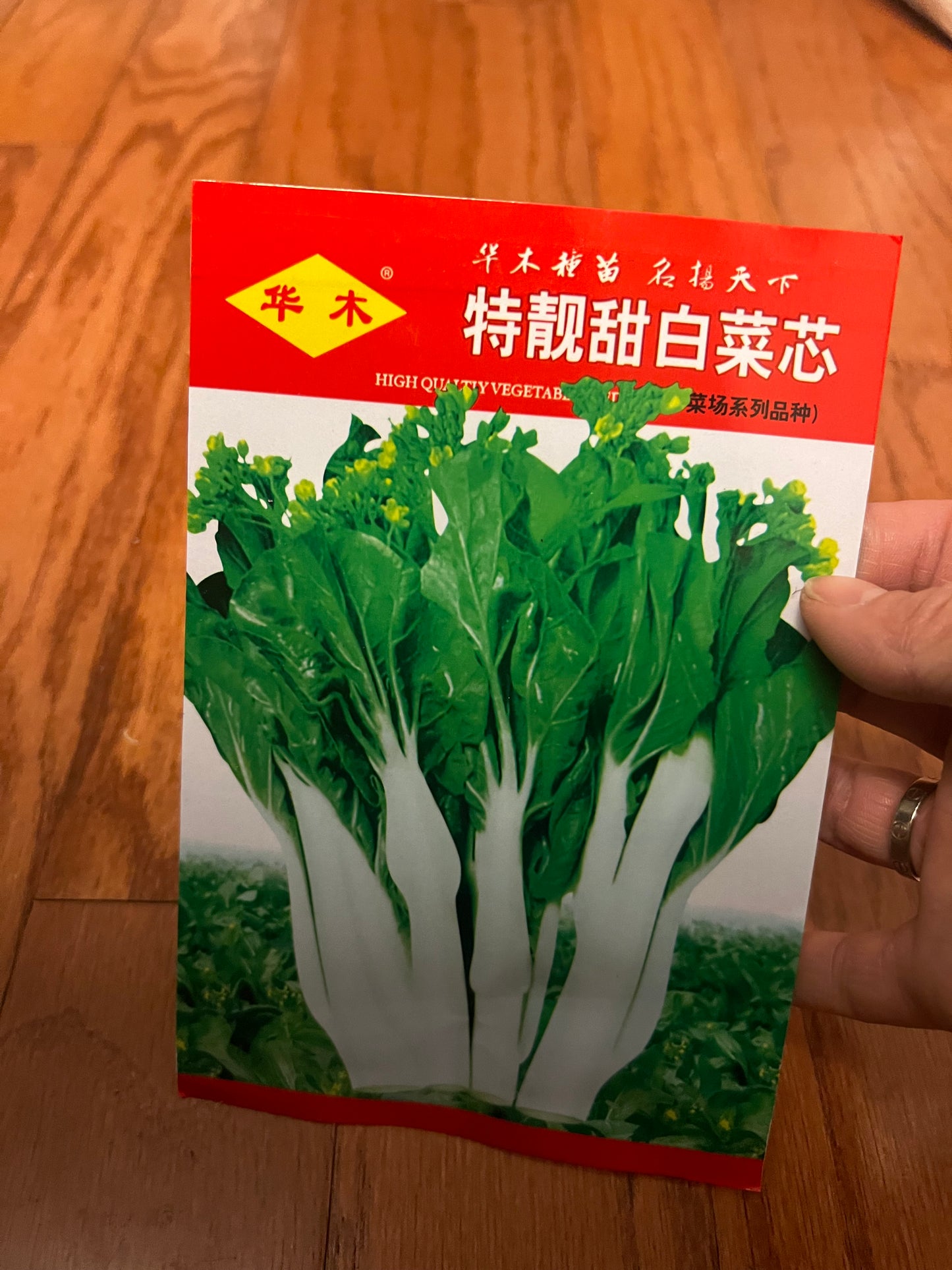 小白菜,白梗快菜,四季可以种