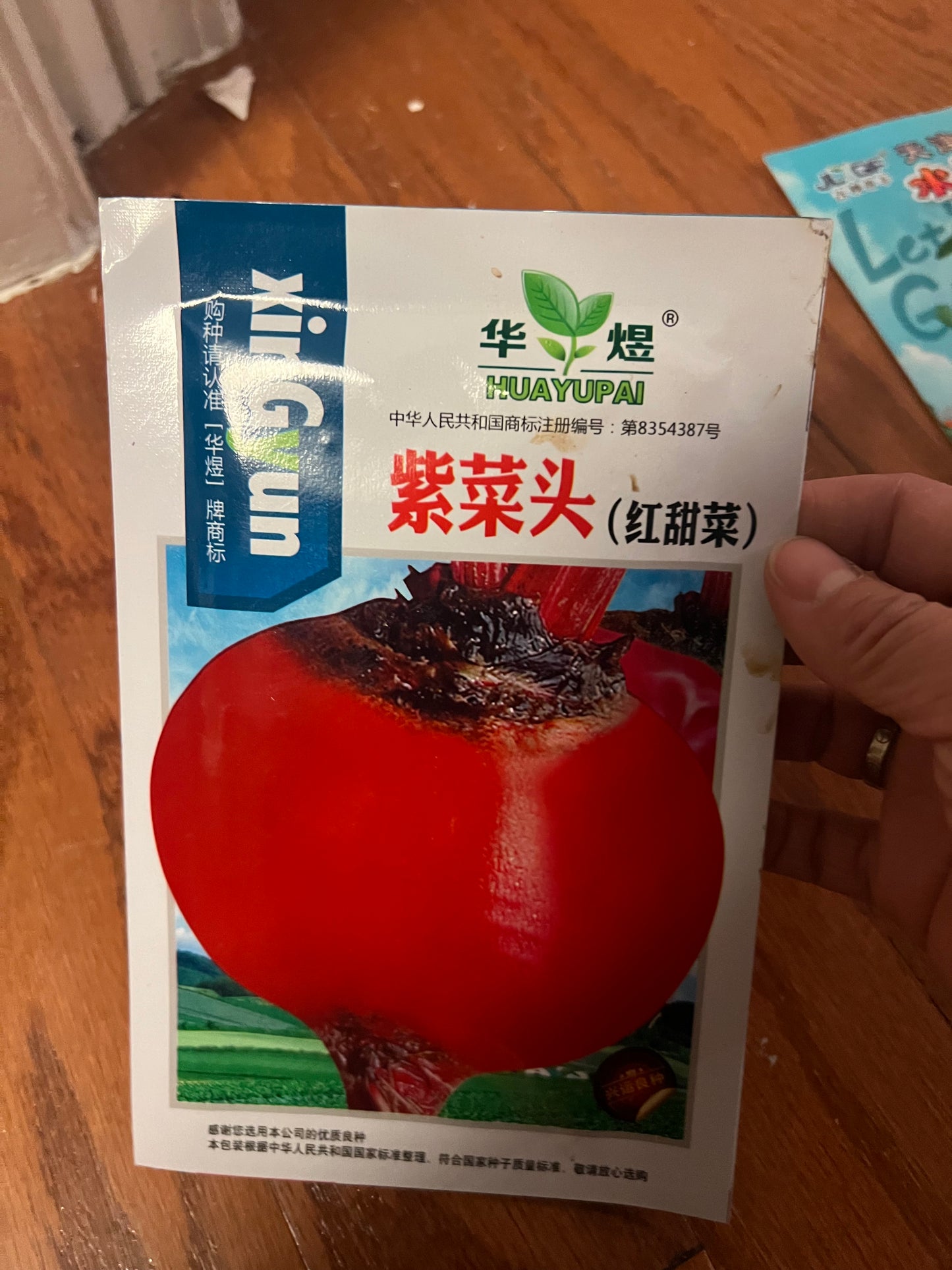 菜头,苤兰,光头芥
