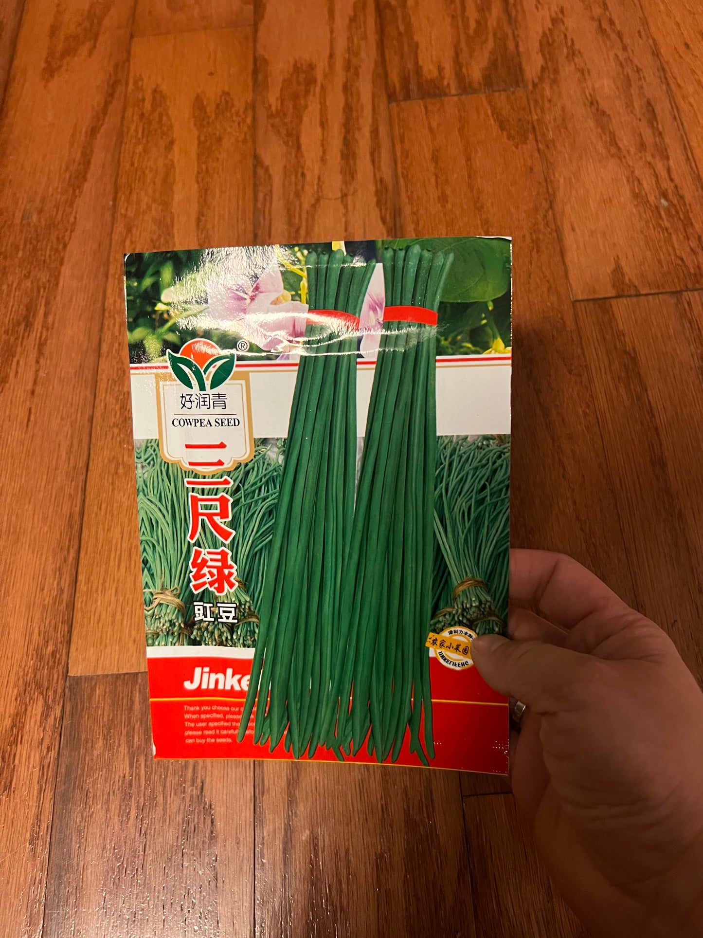 长豆,芸豆,豇豆