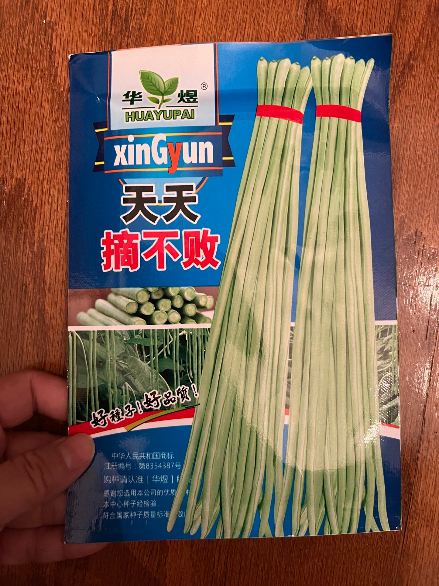 天天摘不败豆角,10克