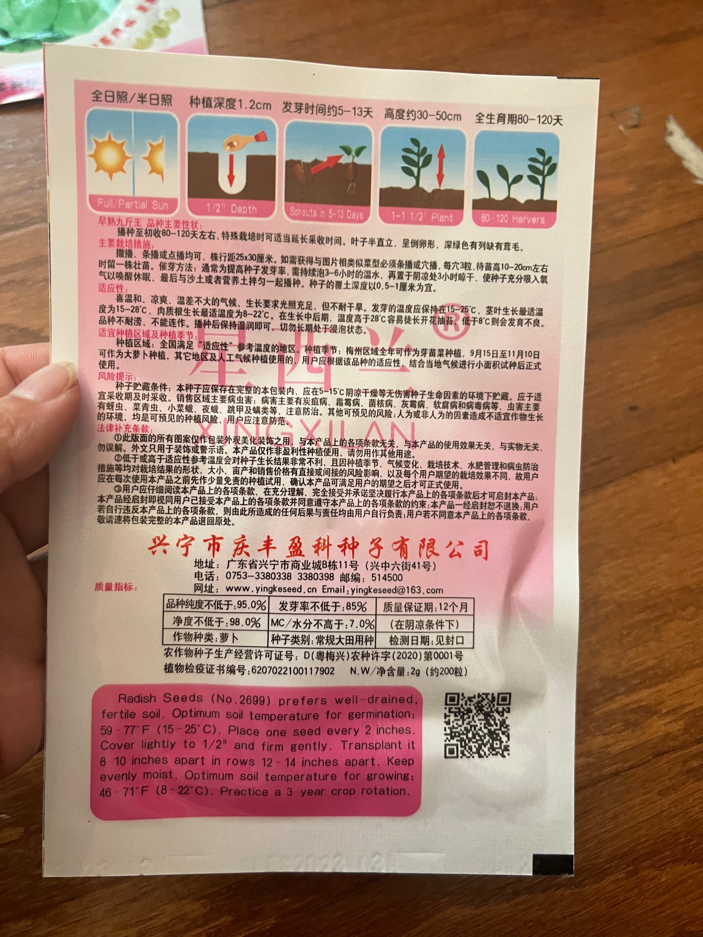 早熟九斤王萝卜5克,秋季播种,80-120天收成