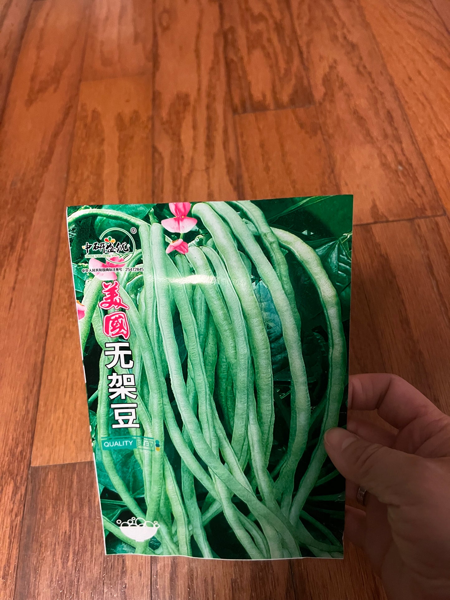 长豆,芸豆,豇豆