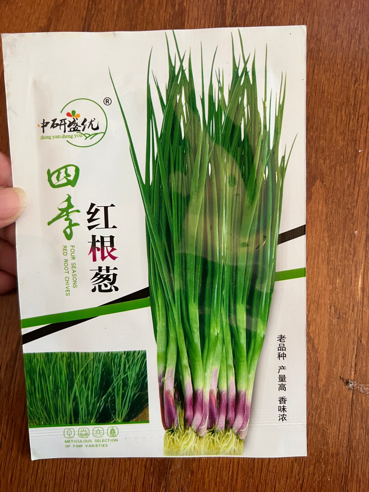 四季红根葱3克,随时可以播种