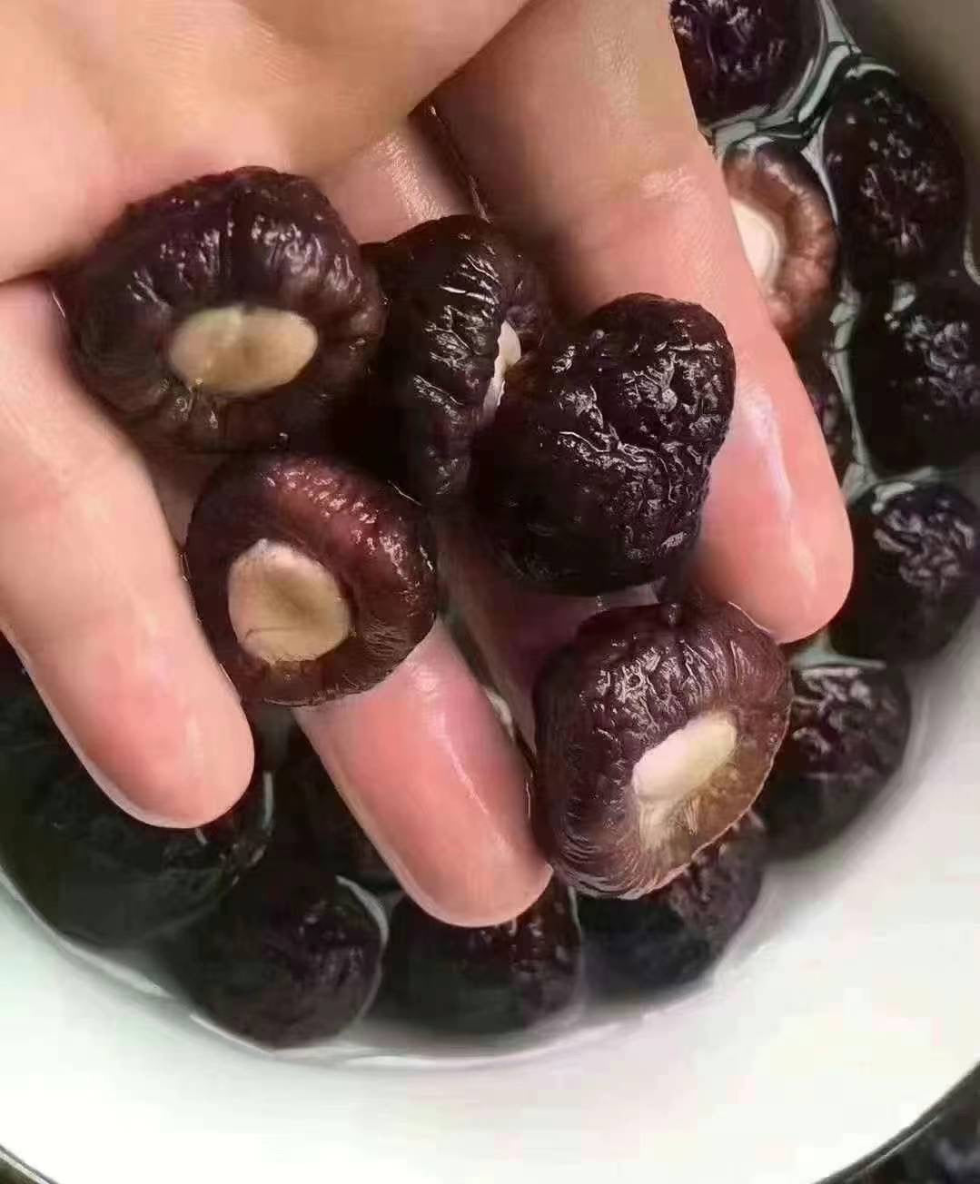 珍珠菇干,2磅
