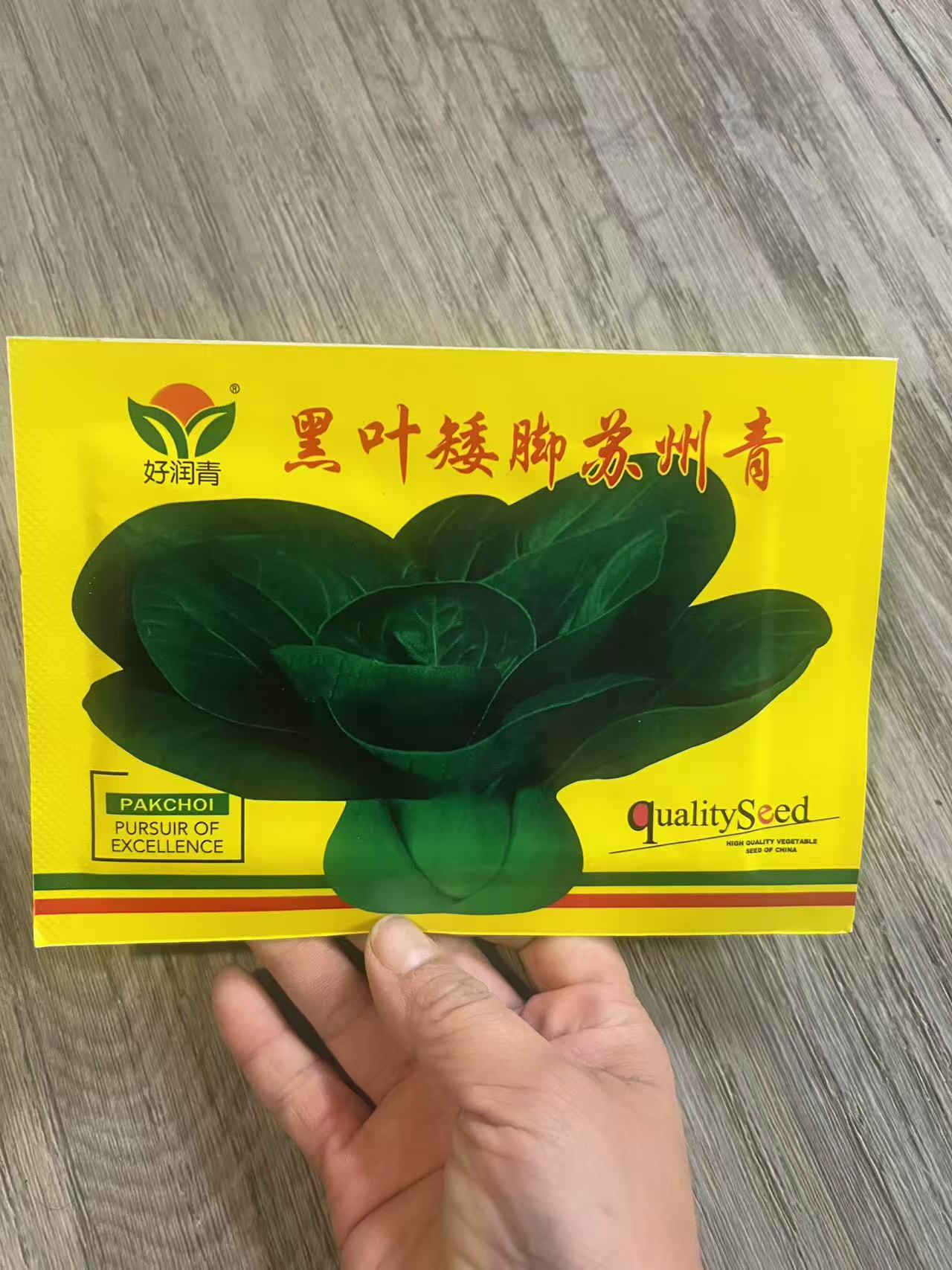 黑叶矮脚苏州青