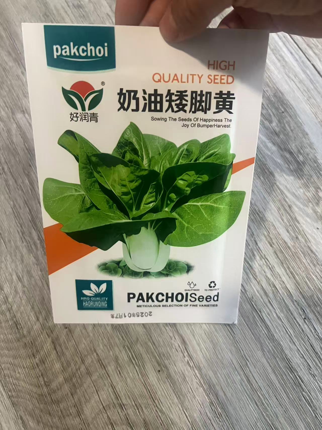 奶油矮脚黄