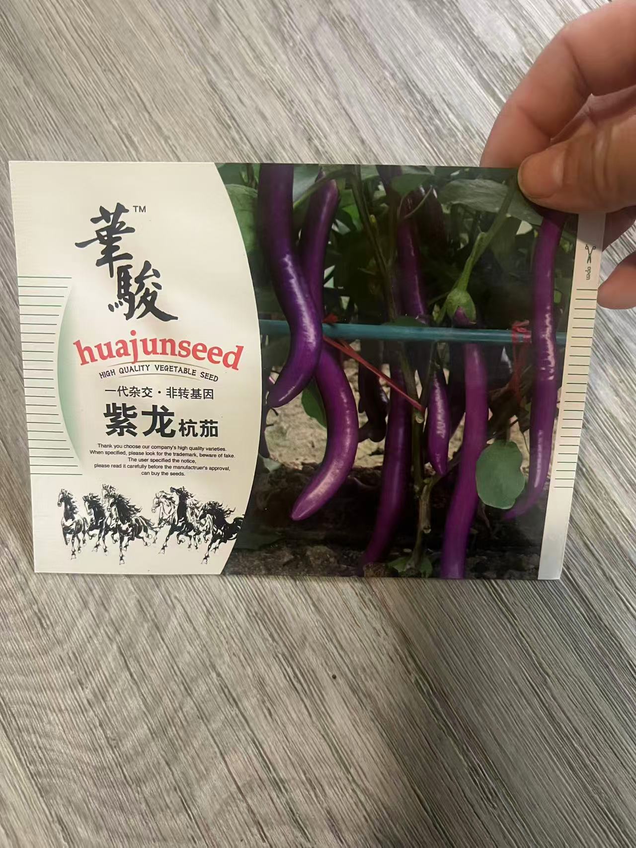 紫龙杭茄