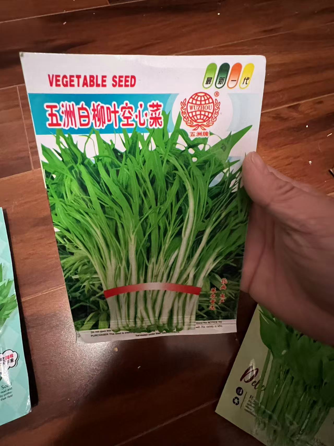 五洲白柳叶空心菜