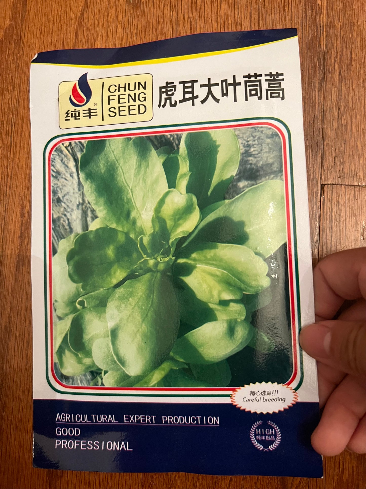 5款茼蒿种子请点开,10克,春秋种植,40天收成