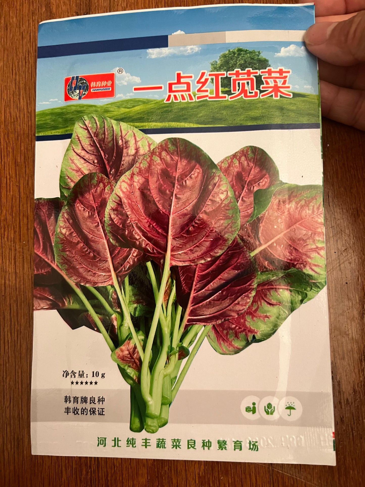 苋菜种子5克,四季播种,40天收成