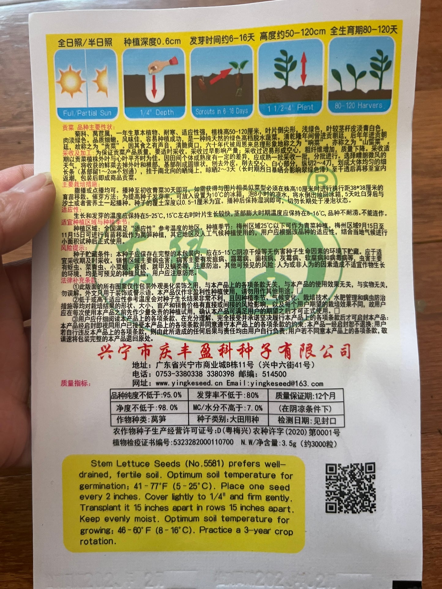 贡菜300粒,春夏秋播种,30-40天收成