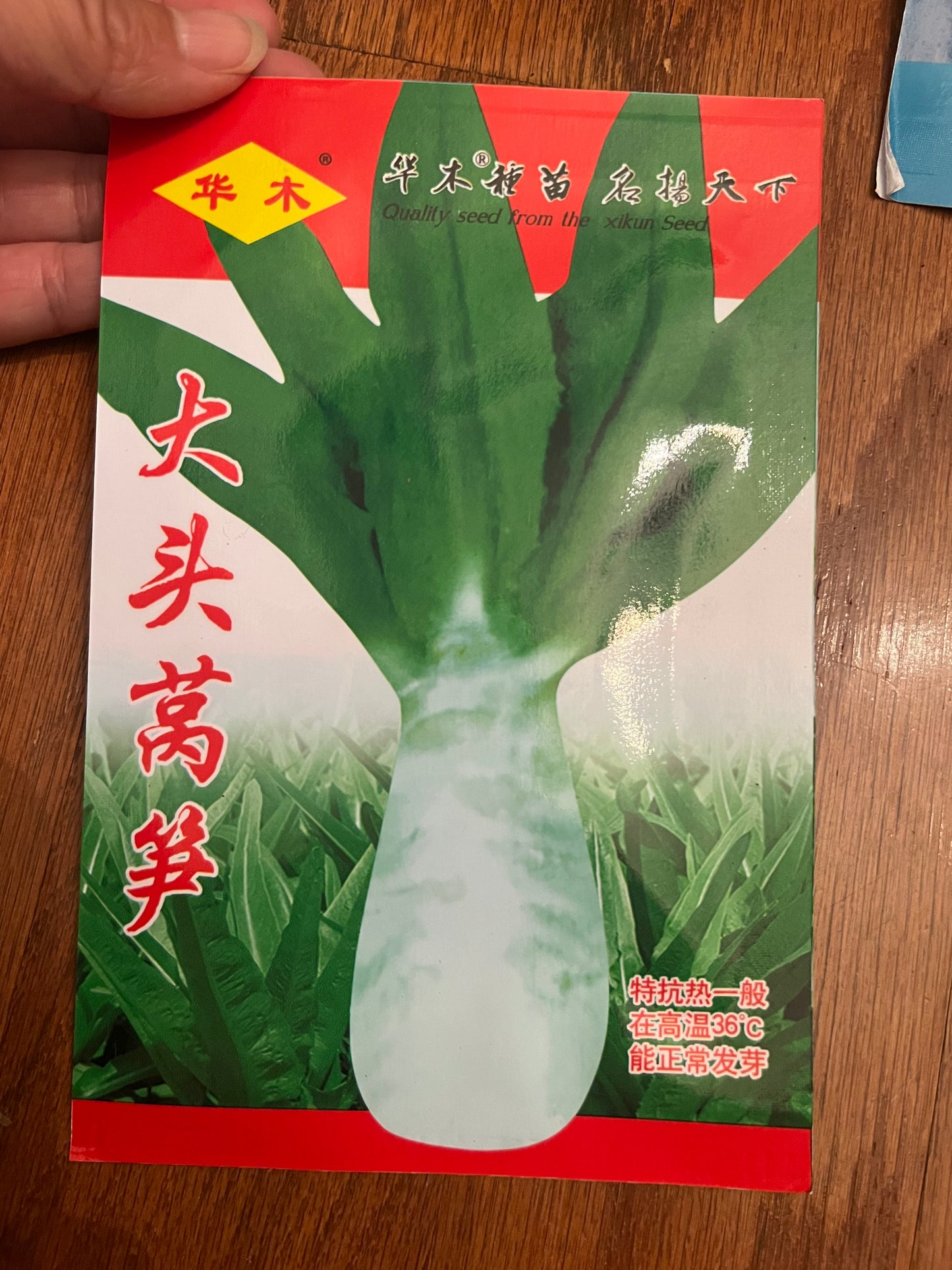 6款莴笋种子请点开,5克,1-11月份都可以播种,35-50天收成