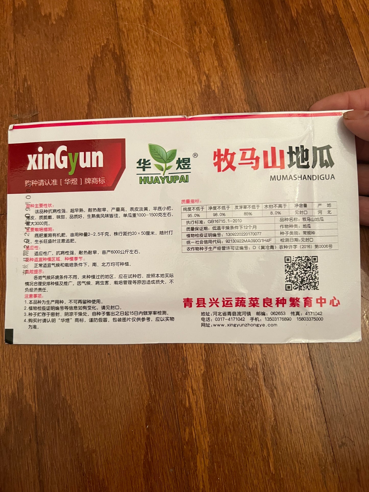 牧马山地瓜20粒