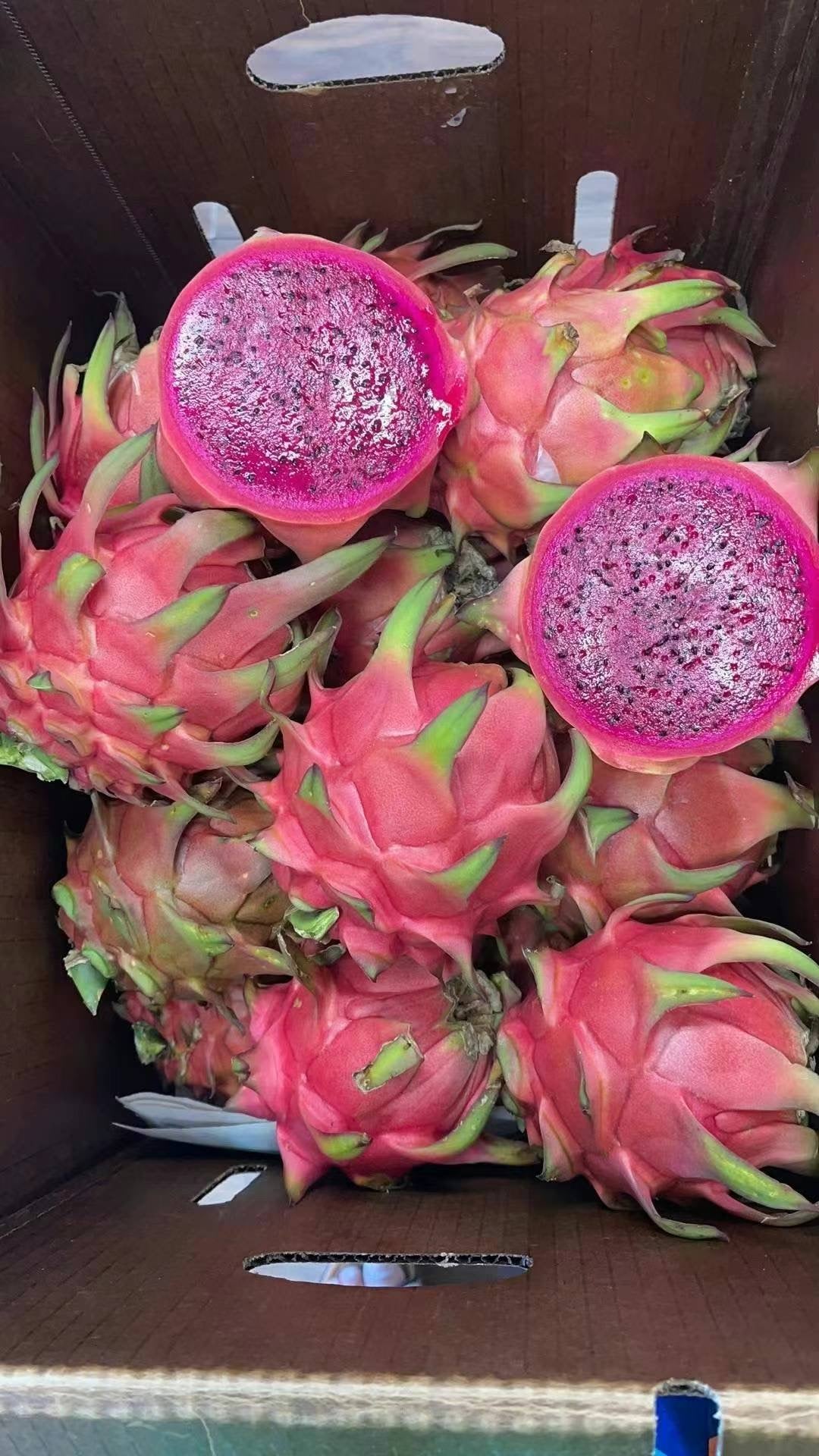 红心火龙果,20磅 no