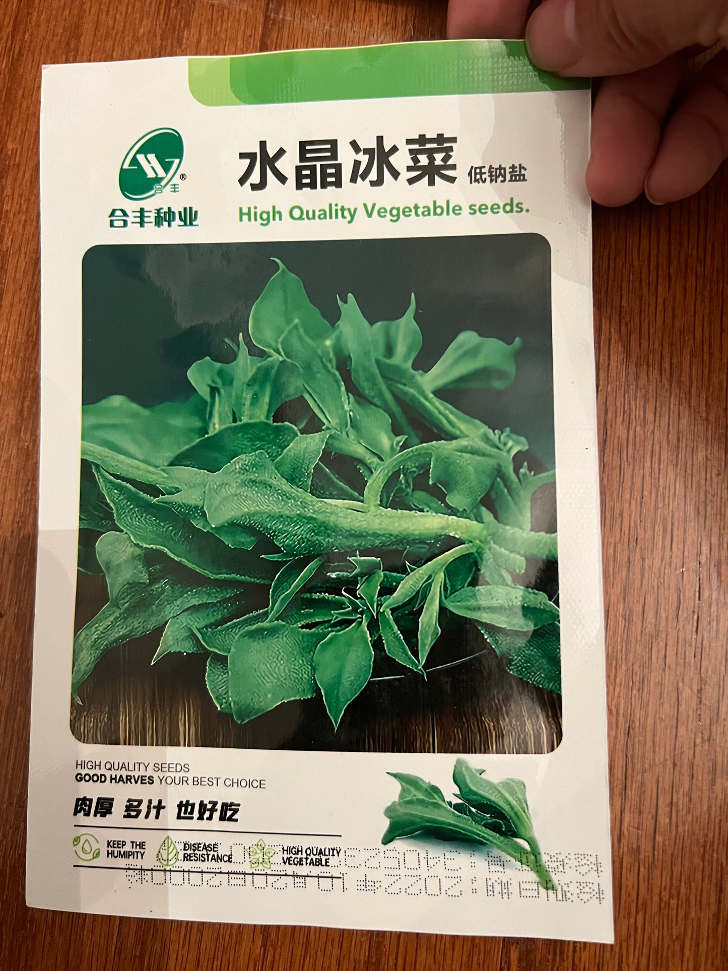 冰菜100粒,四季播种,持续采摘