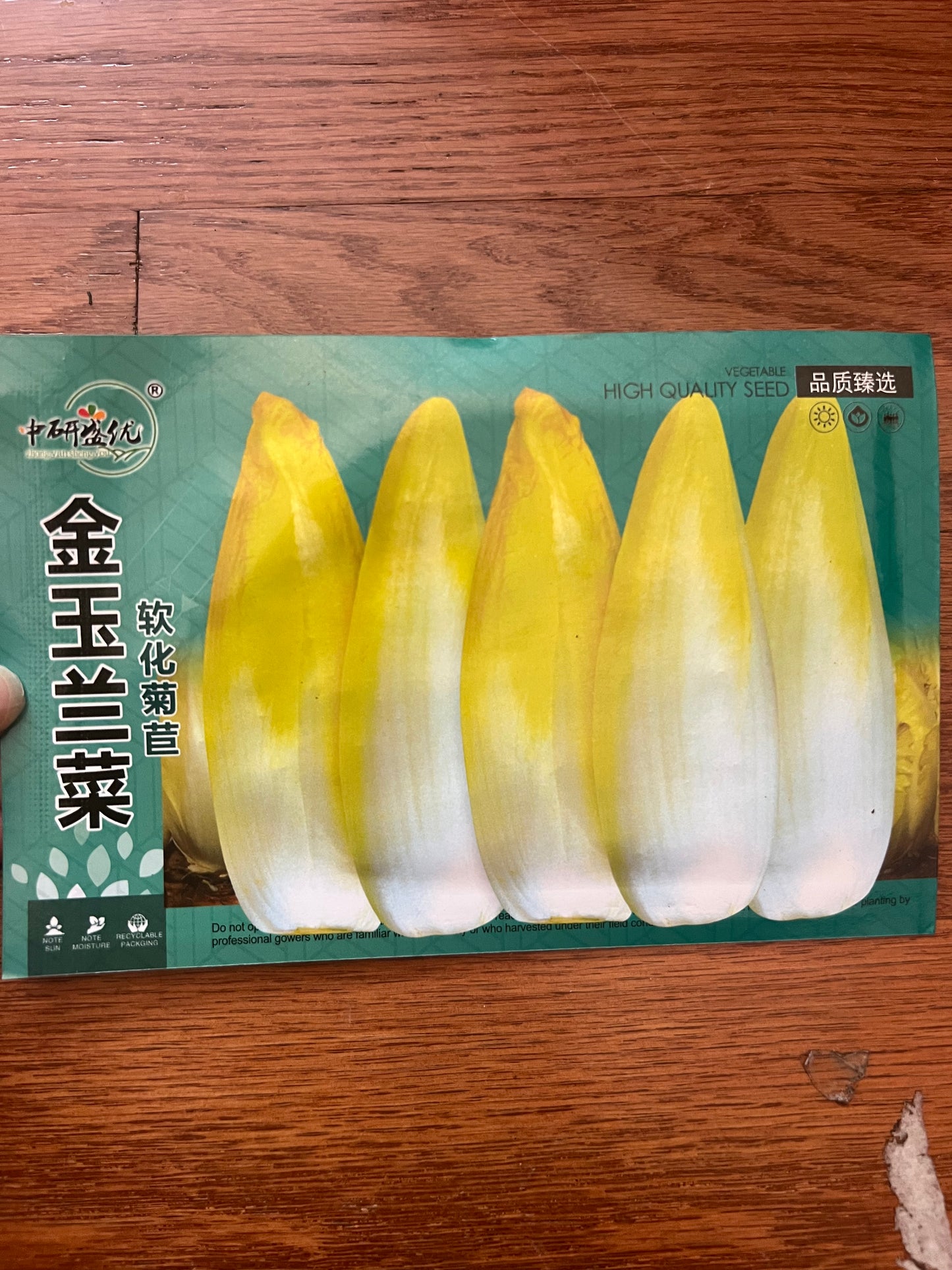 金玉兰菜