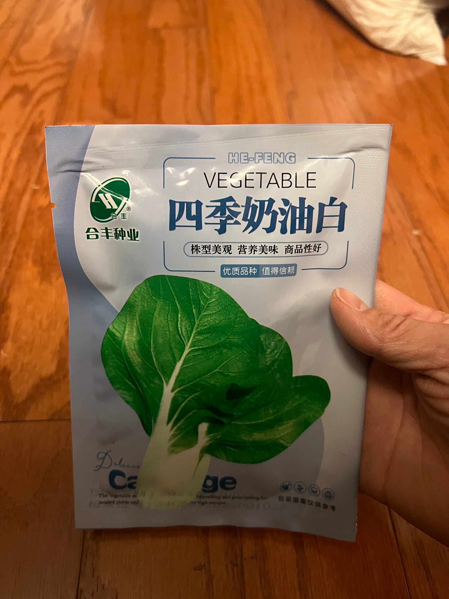 小白菜，白梗快菜，四季可以种