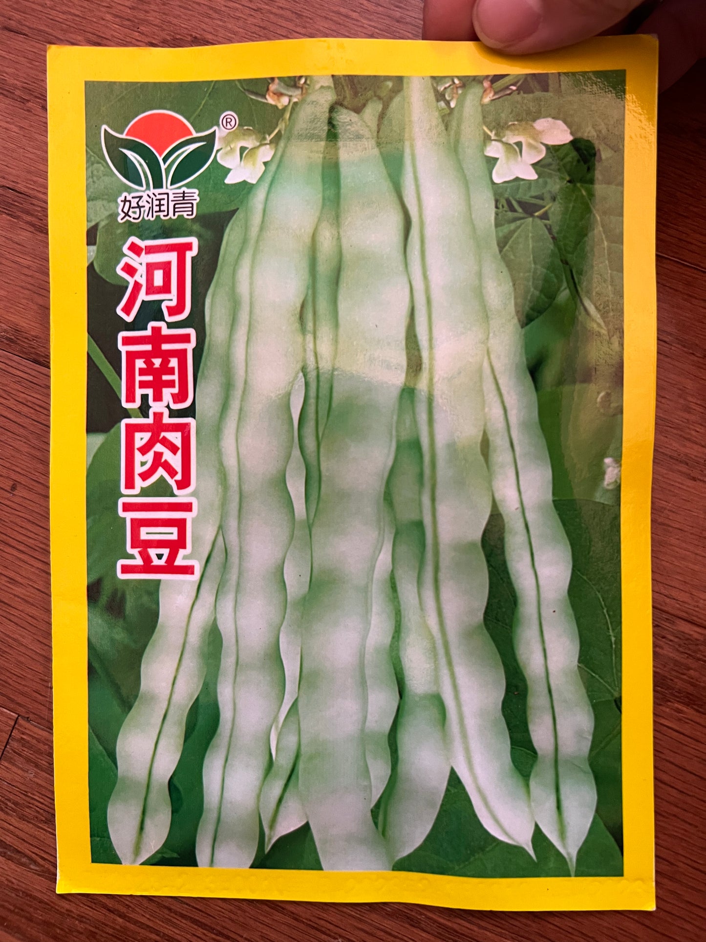 河南肉豆10克，春夏两季播种，55天收成