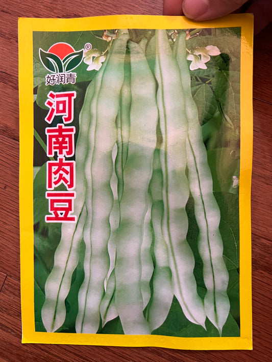 河南肉豆10克，春夏两季播种，55天收成