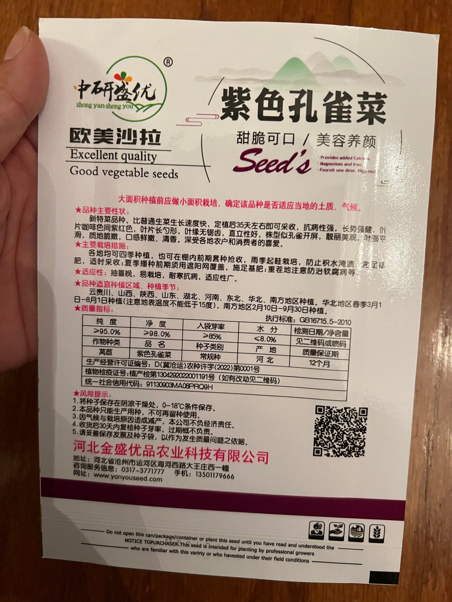 紫色孔雀菜10克，春夏秋播种