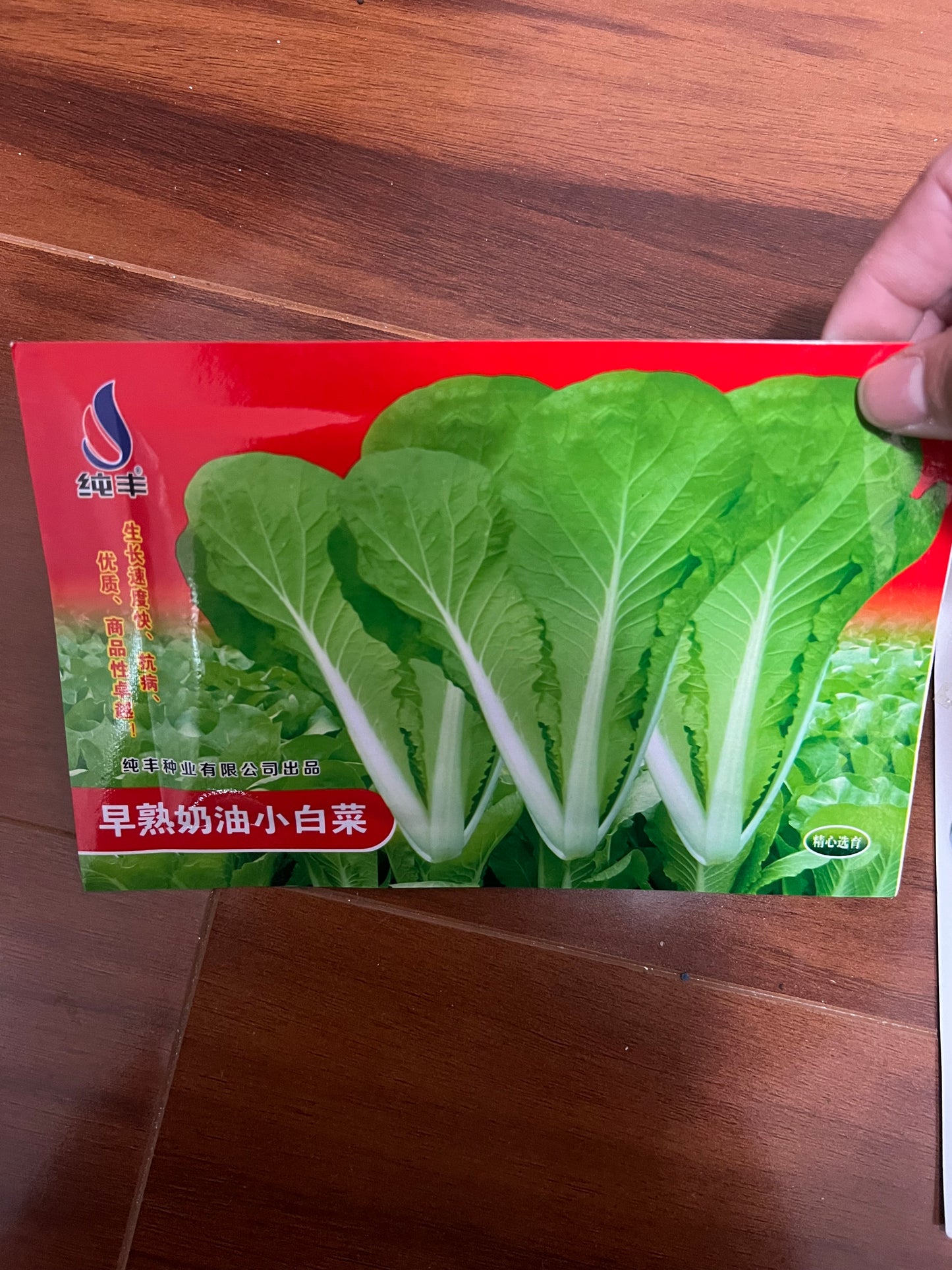 各种：白菜，苏州青，