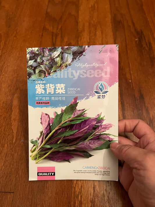 紫背菜200粒，春夏播种