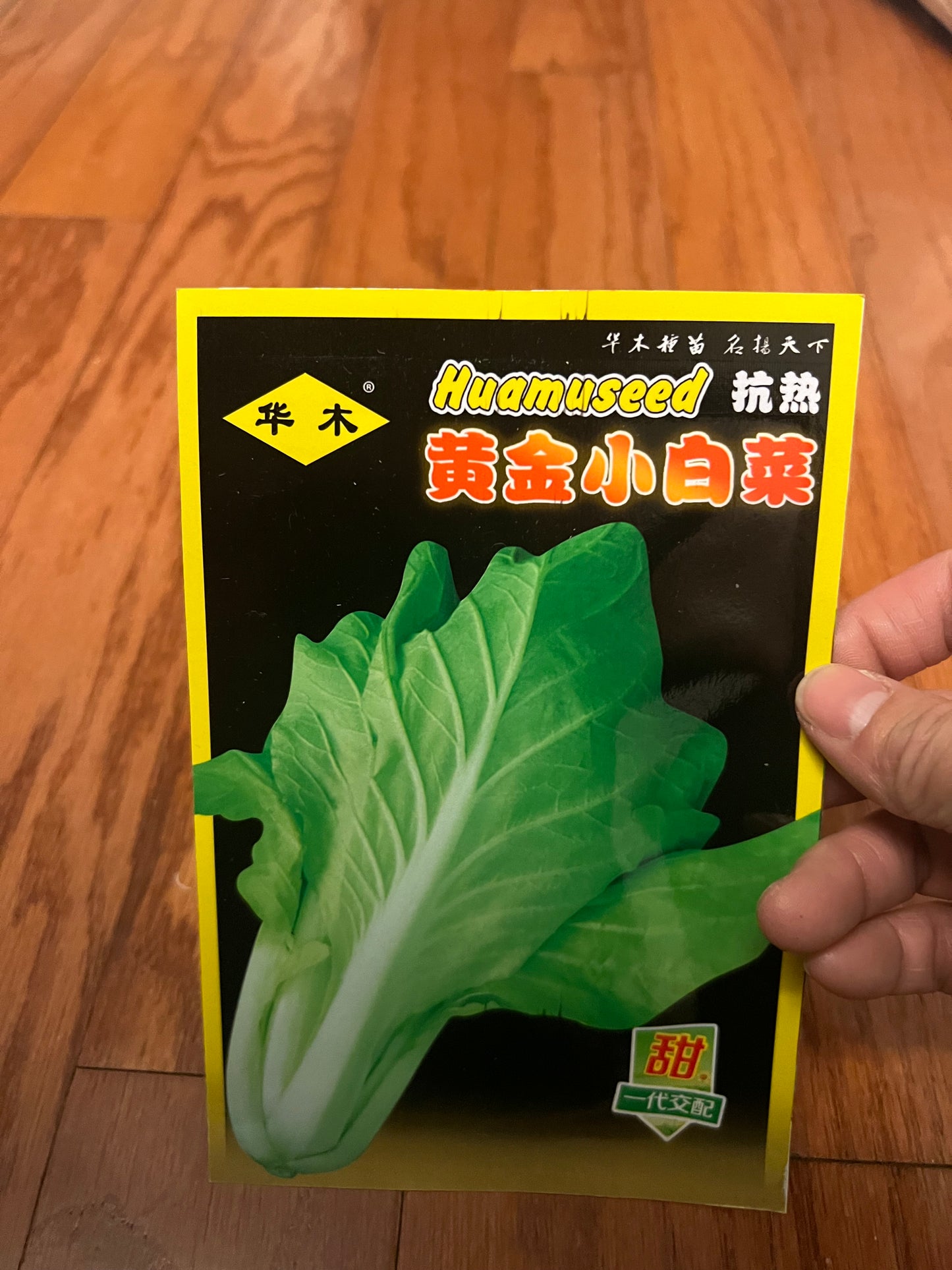小白菜，白梗快菜，四季可以种