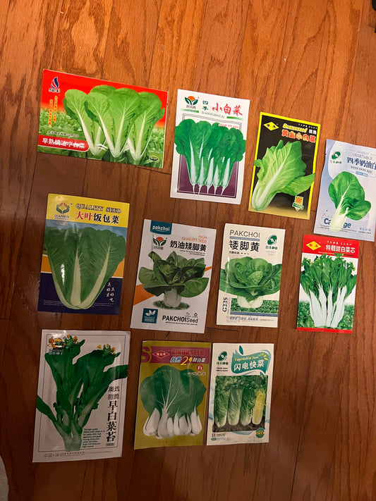 小白菜，白梗快菜，四季可以种