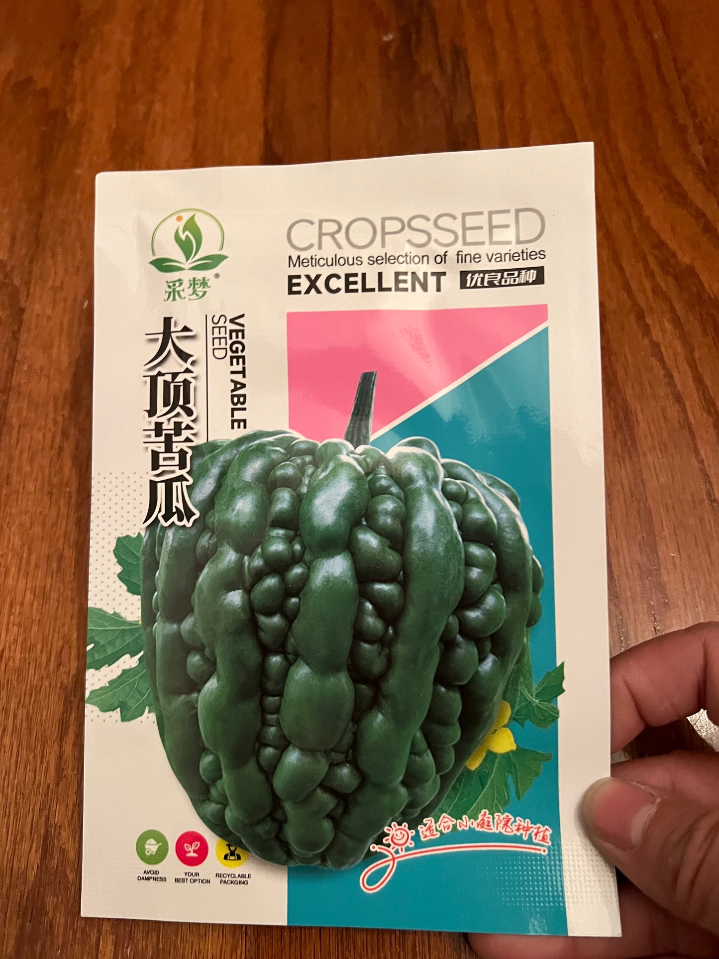 大顶苦瓜，5粒，春秋播种