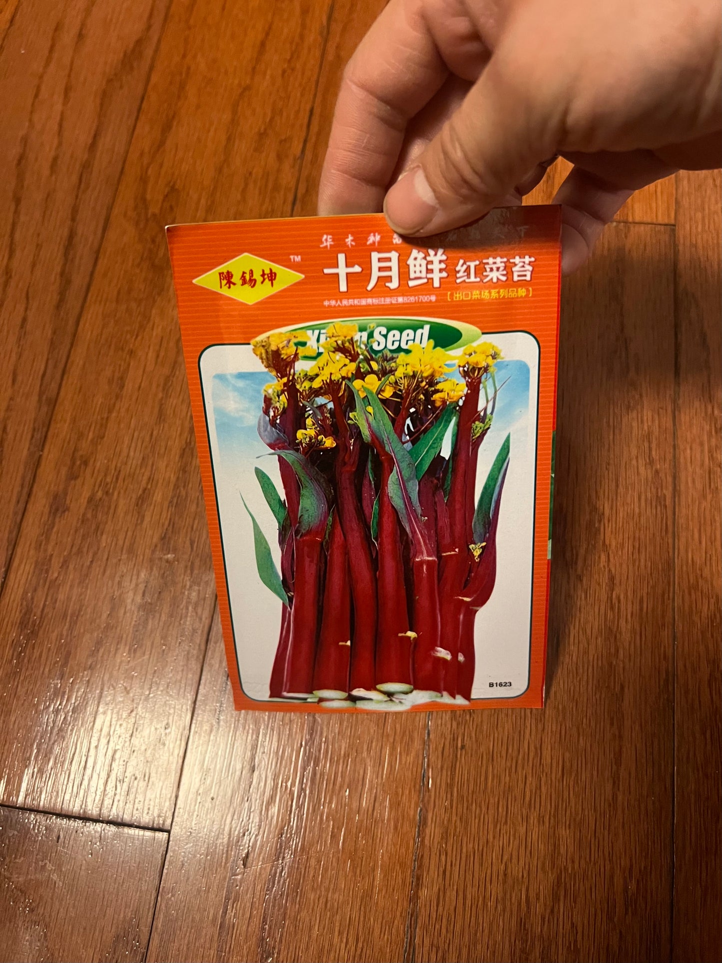 菜苔，