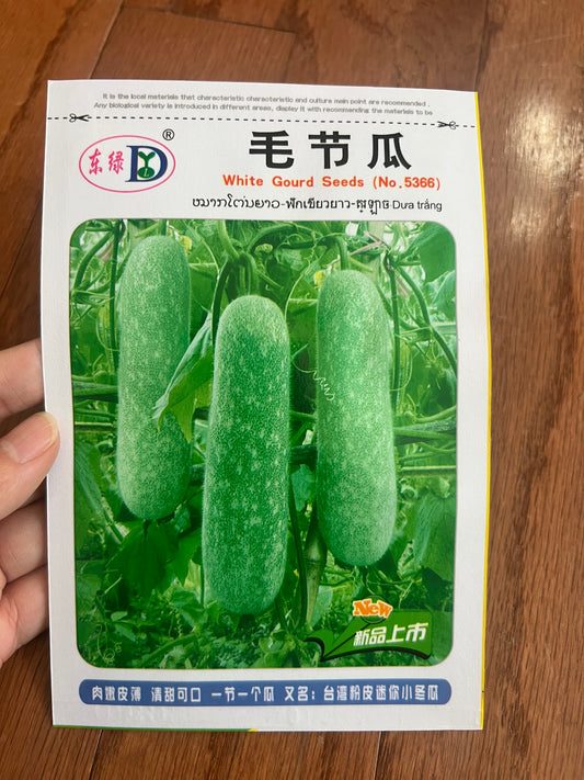毛节瓜，春夏播种