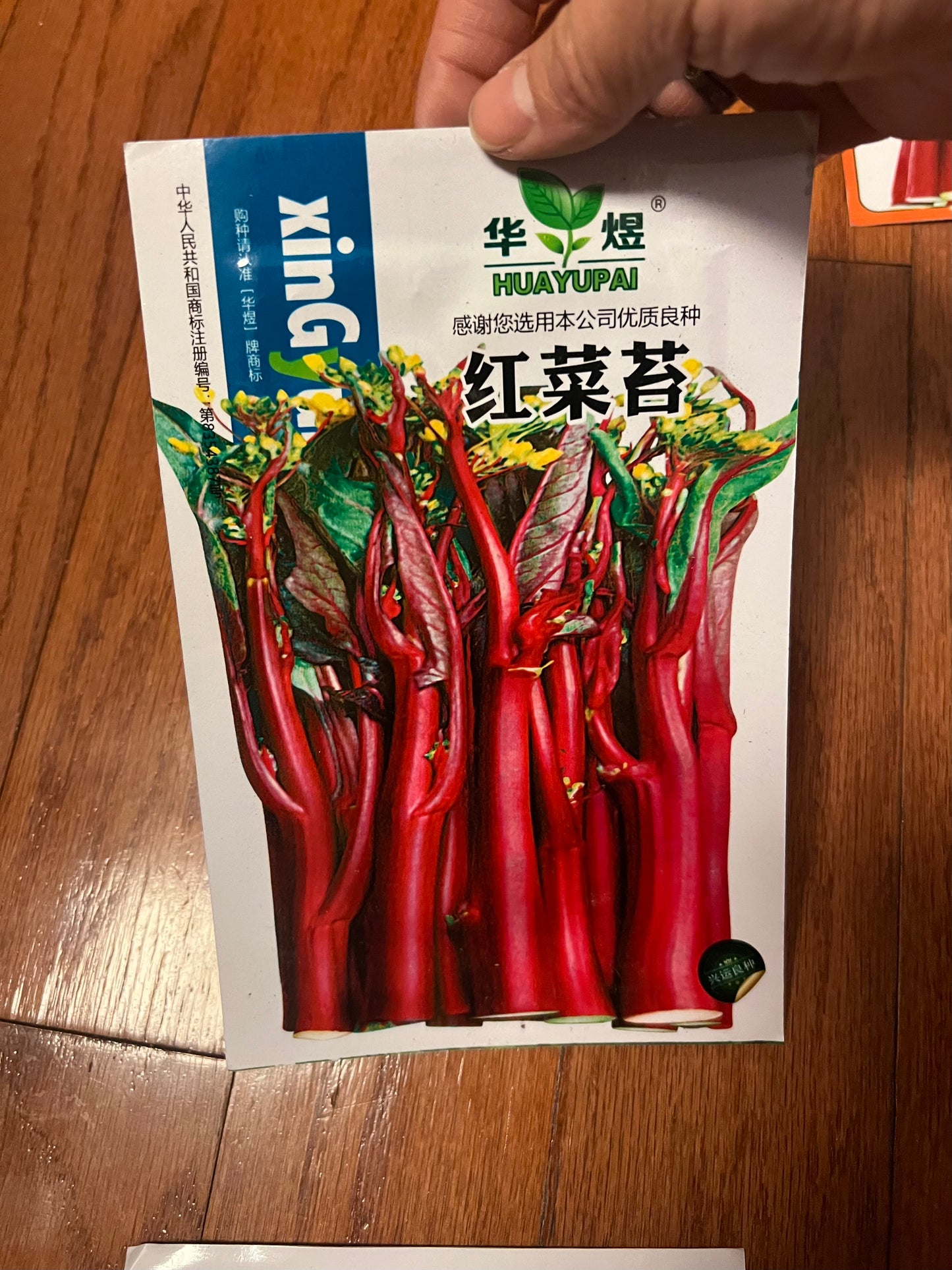 菜苔，