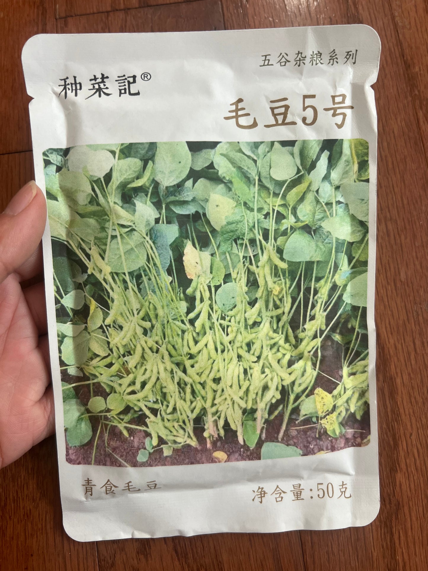毛豆5号