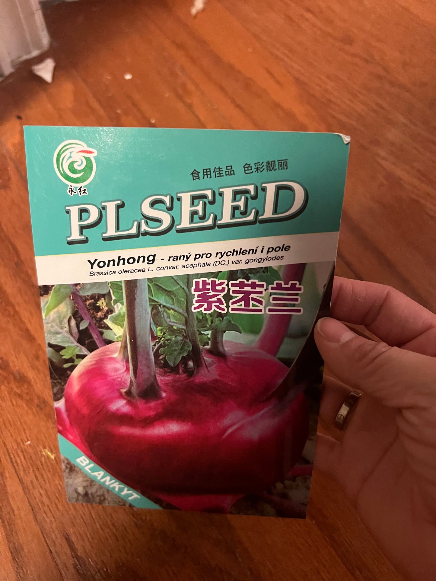 菜头，苤兰，光头芥