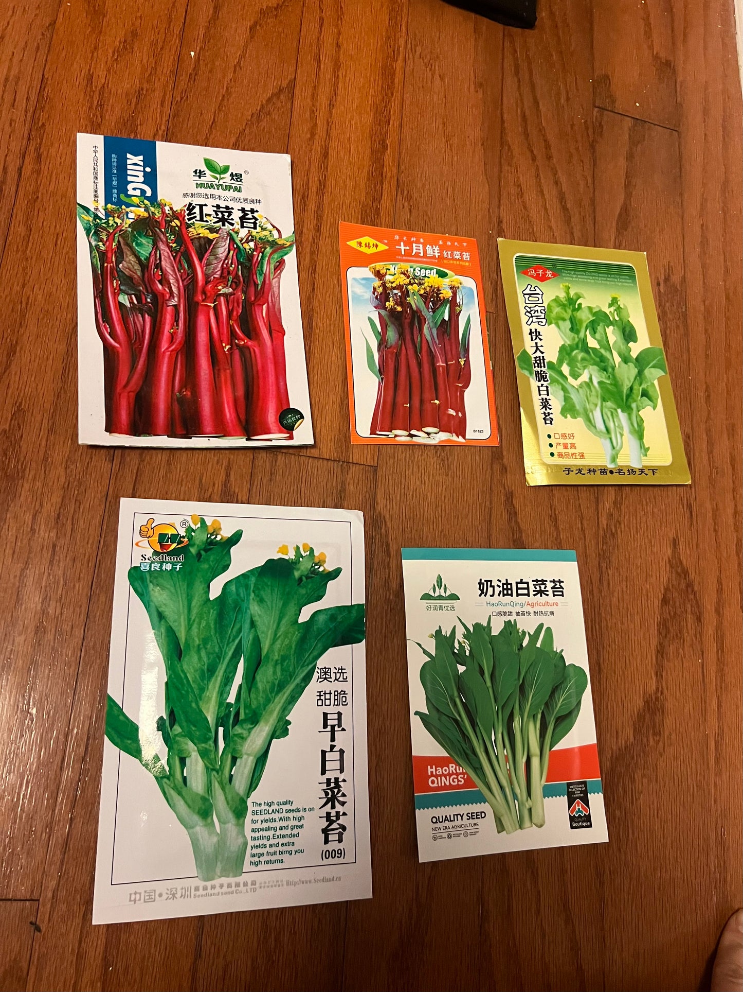 菜苔，